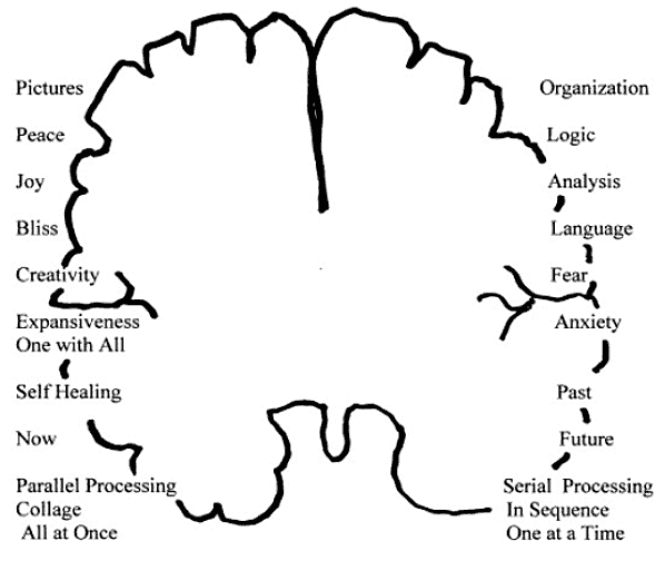 ebook neurobiology of aggression understanding and preventing violence contemporary neuroscience