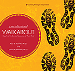 Paraliminal Walkabouts